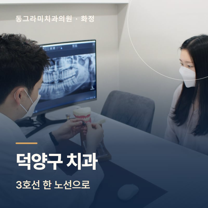 덕양구 치과, 3호선 한 노선으로