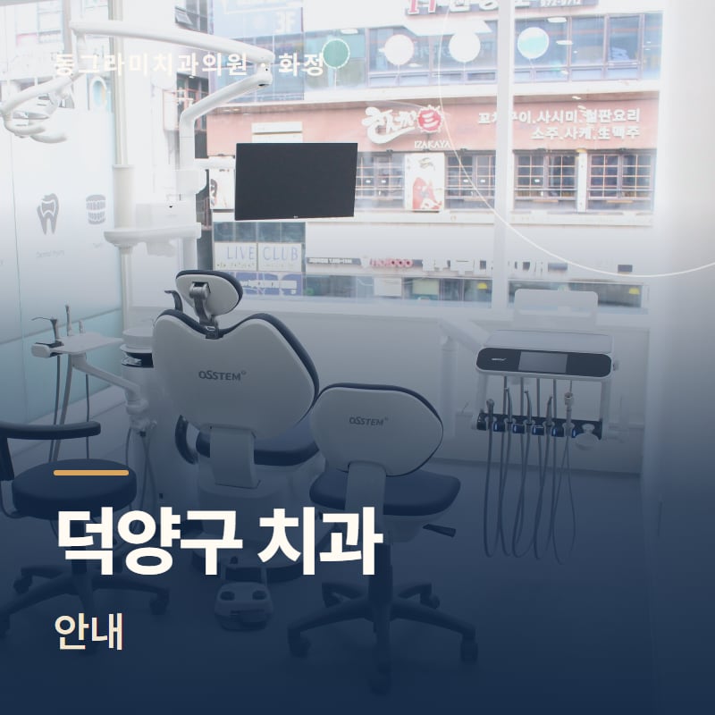 덕양구 치과 안내