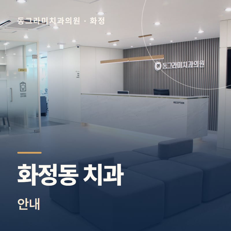 화정동 치과 안내